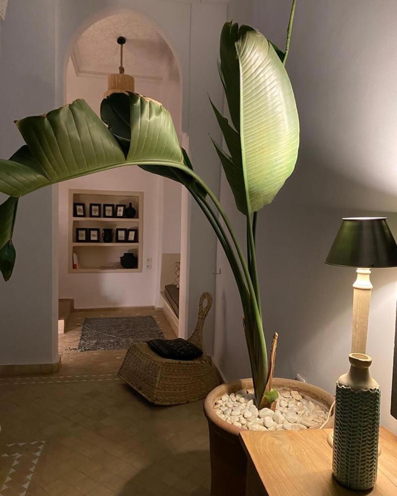 Riad Dar C Marrakesh Bagian luar foto